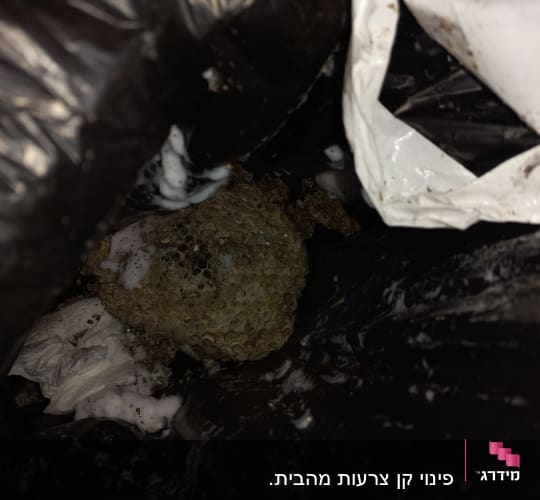 קן צרעות עם קצף הדברה בשקית זבל